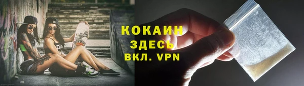 дживик Белокуриха